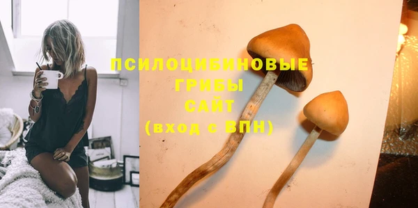метадон Белокуриха