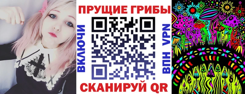 Купить закладки  Городец  Галлюциногенные грибы прущие грибы 